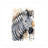 Zebra - Wildlife Collection (Print Only) thumbnail