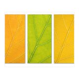 Autumn Leaves (Print Only) thumbnail