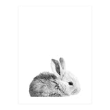 Black and White Bunny Portrait (Print Only) thumbnail
