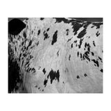 Abstract #3 (Print Only) thumbnail