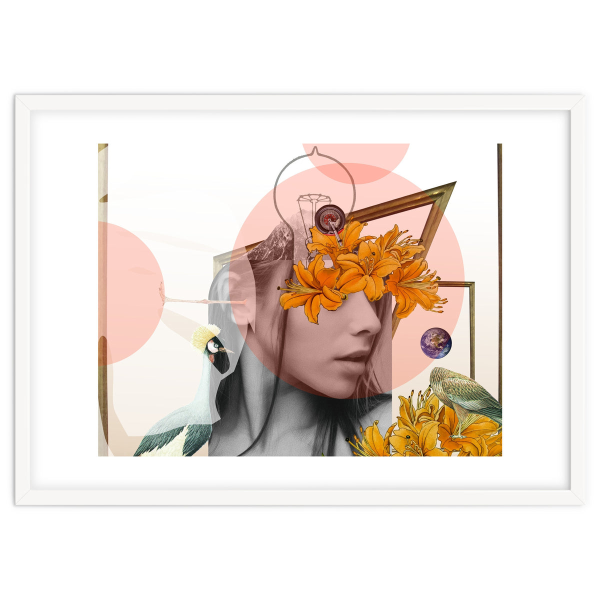 Dreamland Division · D