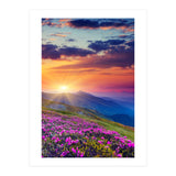 Nature (Print Only) thumbnail