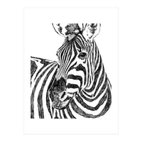 Zebra (Print Only)