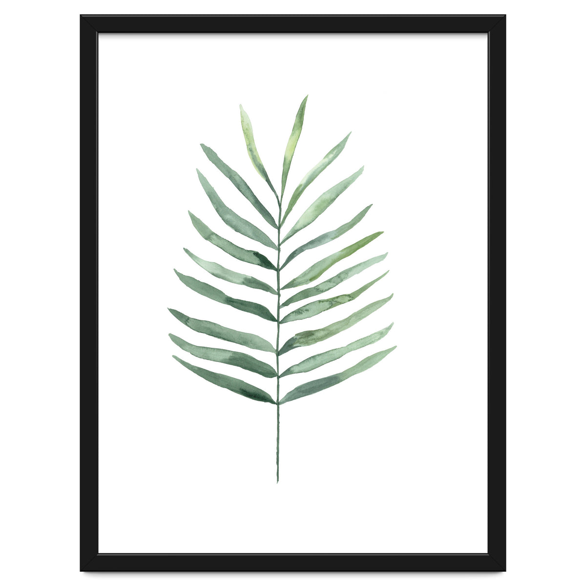 Botanical Illustration Fern