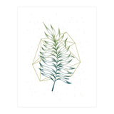 Geometry And Nature I (Print Only) thumbnail