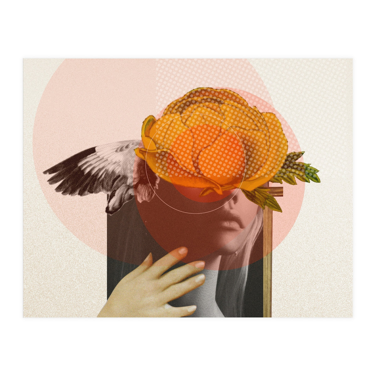 Dreamland Division · C (Print Only)