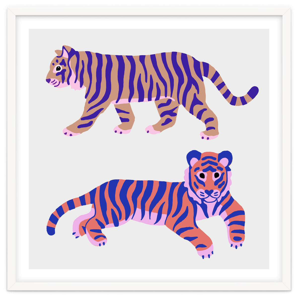 Tigers Squre