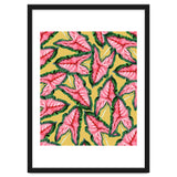 Caladium, Botanical Tropical Nature Plants, Vintage Bohemian Exotic Blush Leaves thumbnail