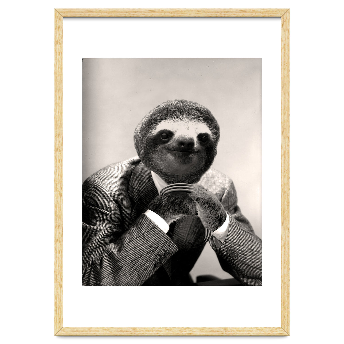 Gentleman Sloth 3