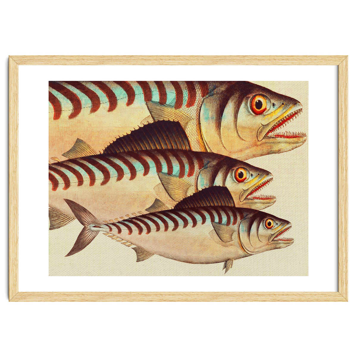 Fish Classic Designs 8