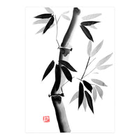 Bamboo 03 (Print Only)