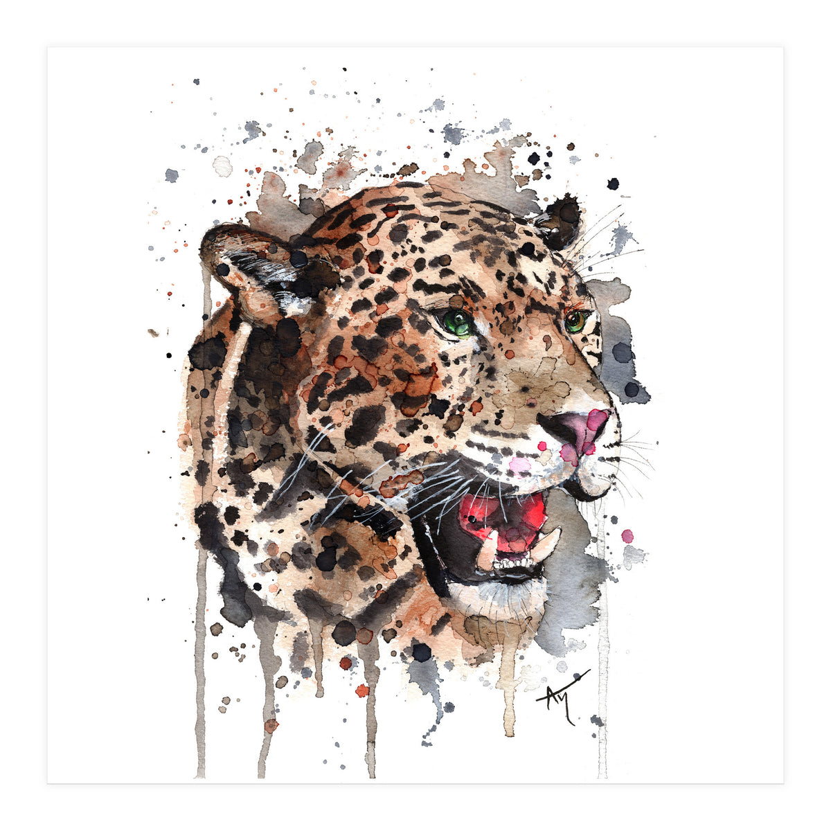 Leopard - Wildlife Collection (Print Only)