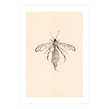 Wasp (Print Only) thumbnail