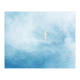Seagull (Print Only) thumbnail