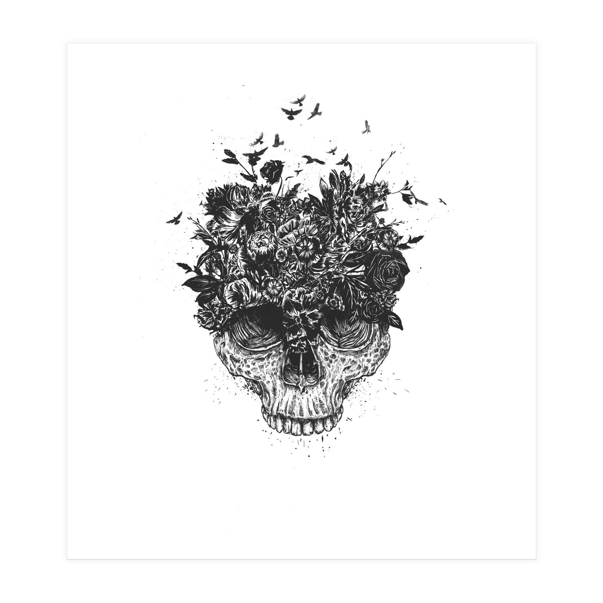 My Head Is A Jungle Bw (Print Only)