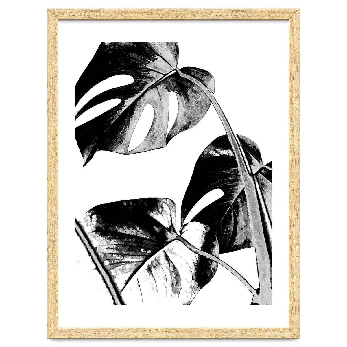 Black Tropical Leaves