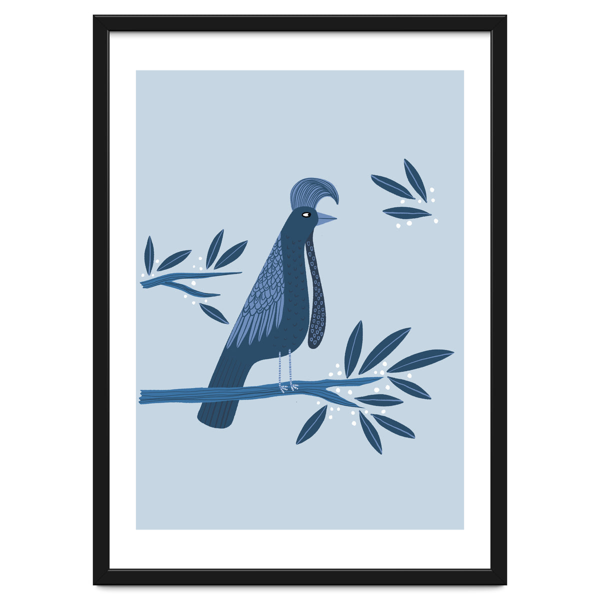Umbrellabird