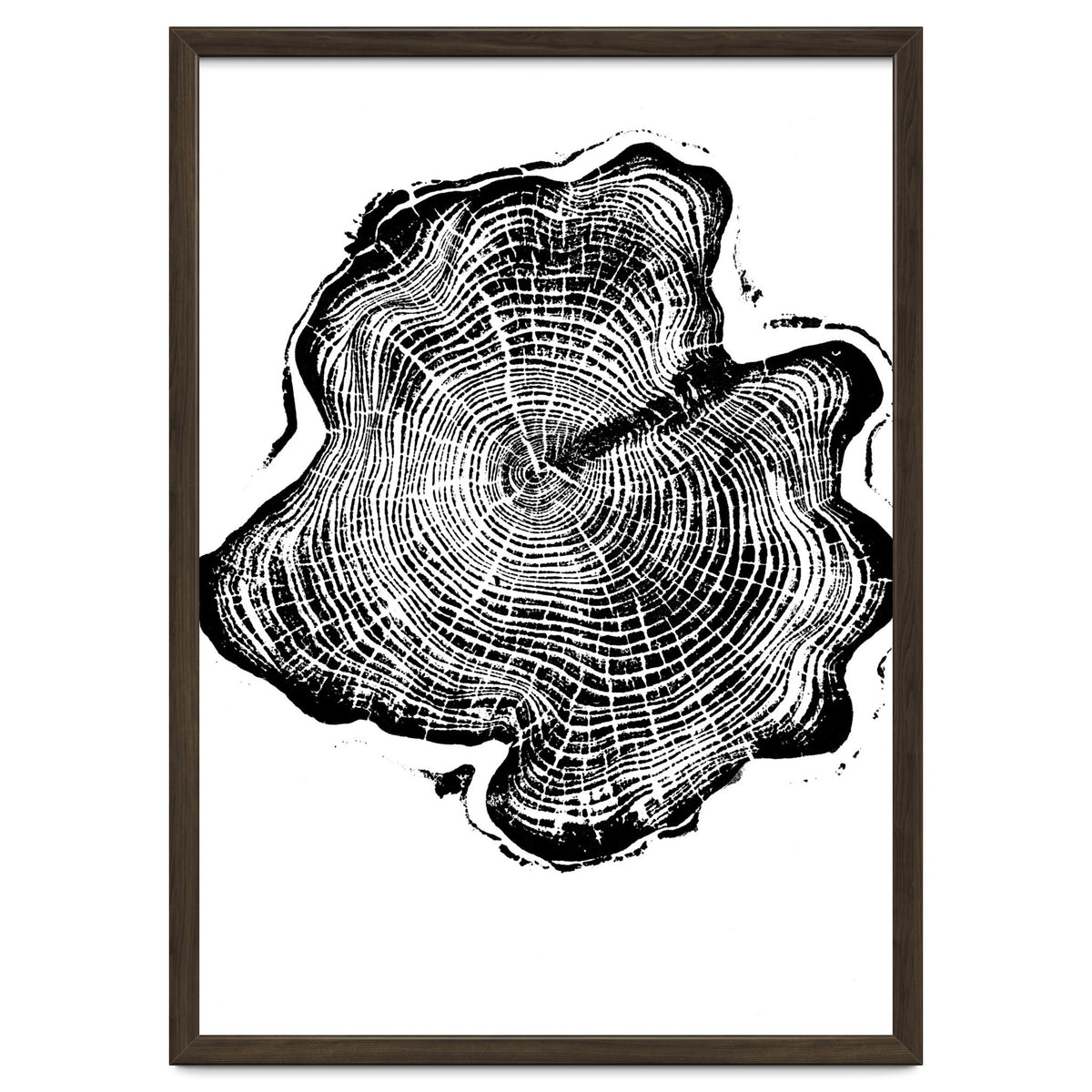 Alaskan Cypress, Tree Ring Art Print, Woodblock