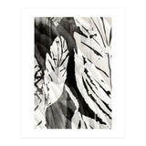 Tropical Season BW 3 (Print Only) thumbnail