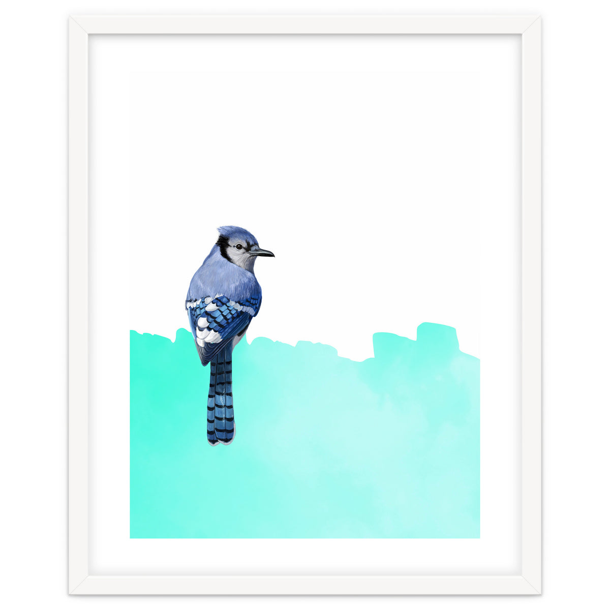 Bird Blue