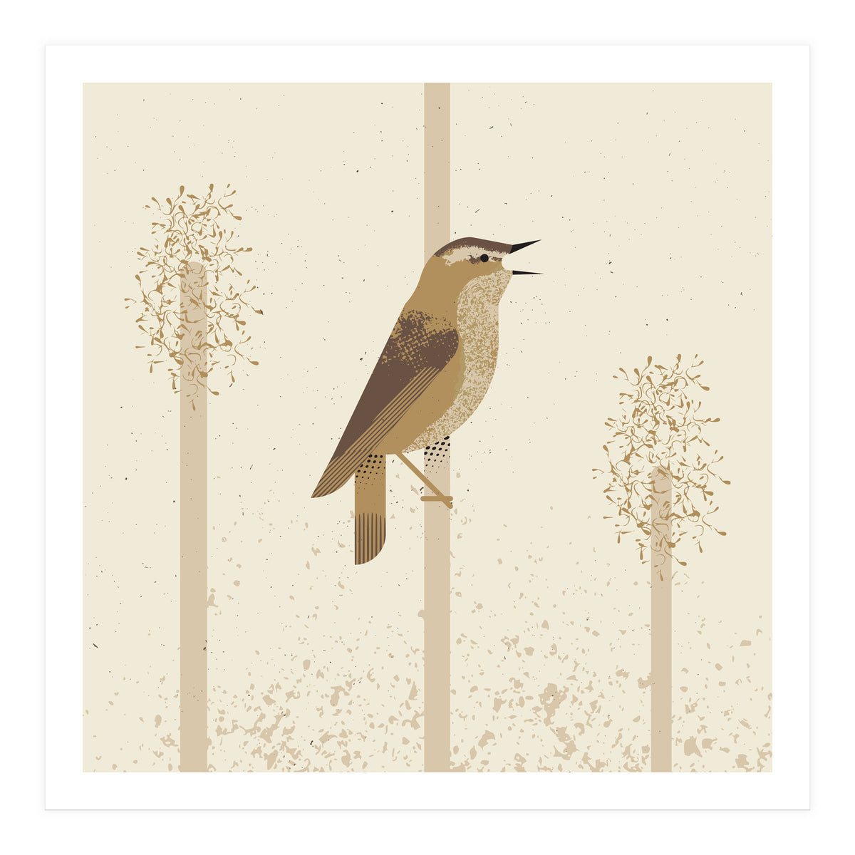 Sedge Warbler (Print Only)