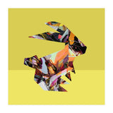 Crazy Ab Rabbit (Print Only) thumbnail