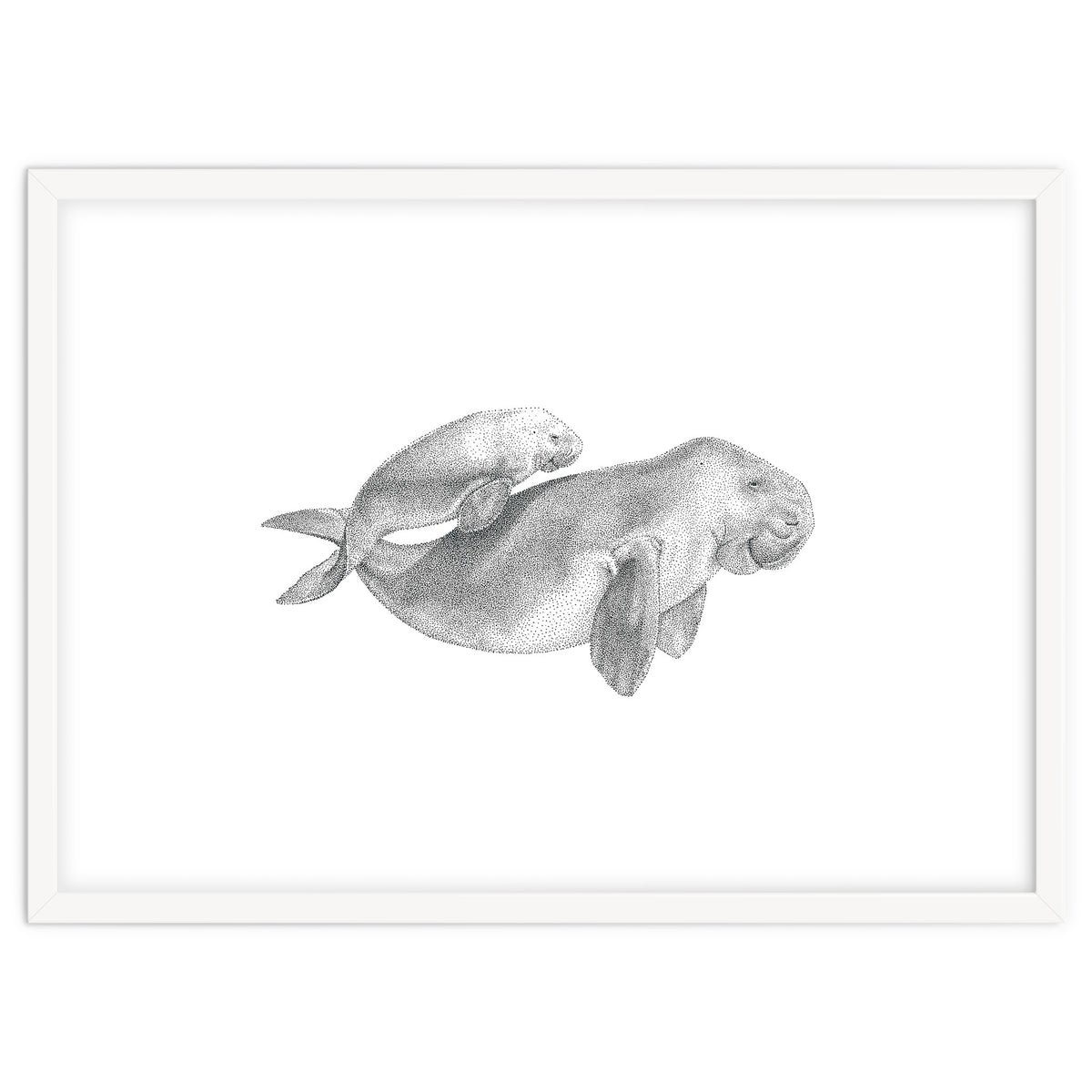 Dugongs no. 1