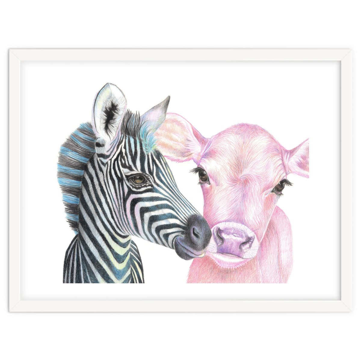 Zebra and Cow