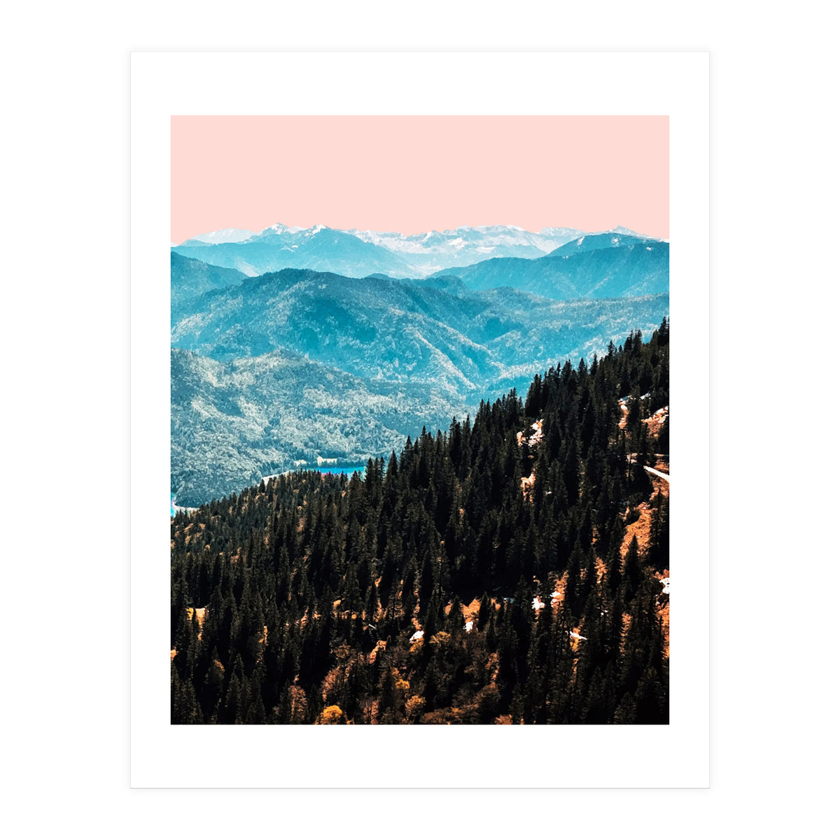 View (Print Only)