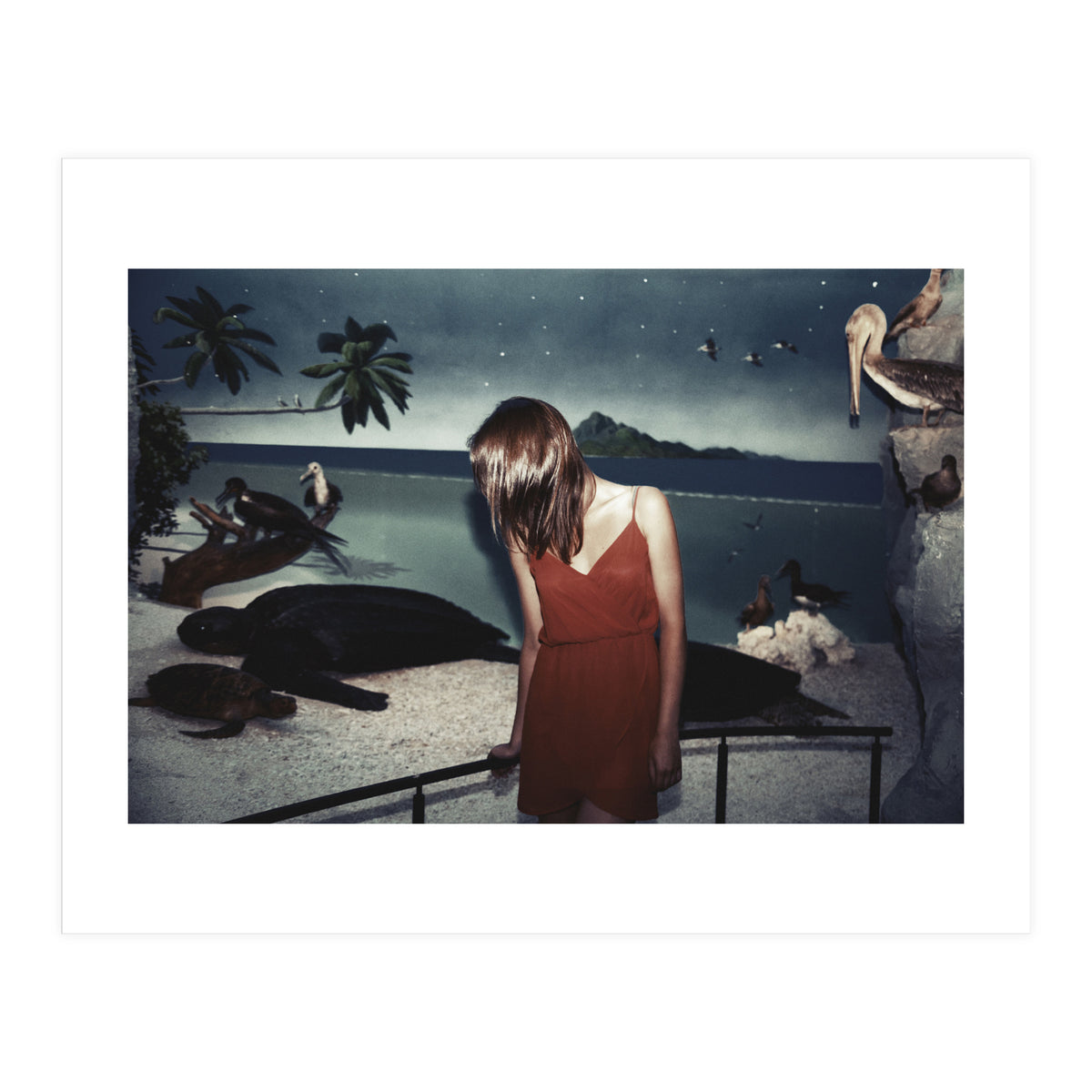 Galapagos (Print Only)