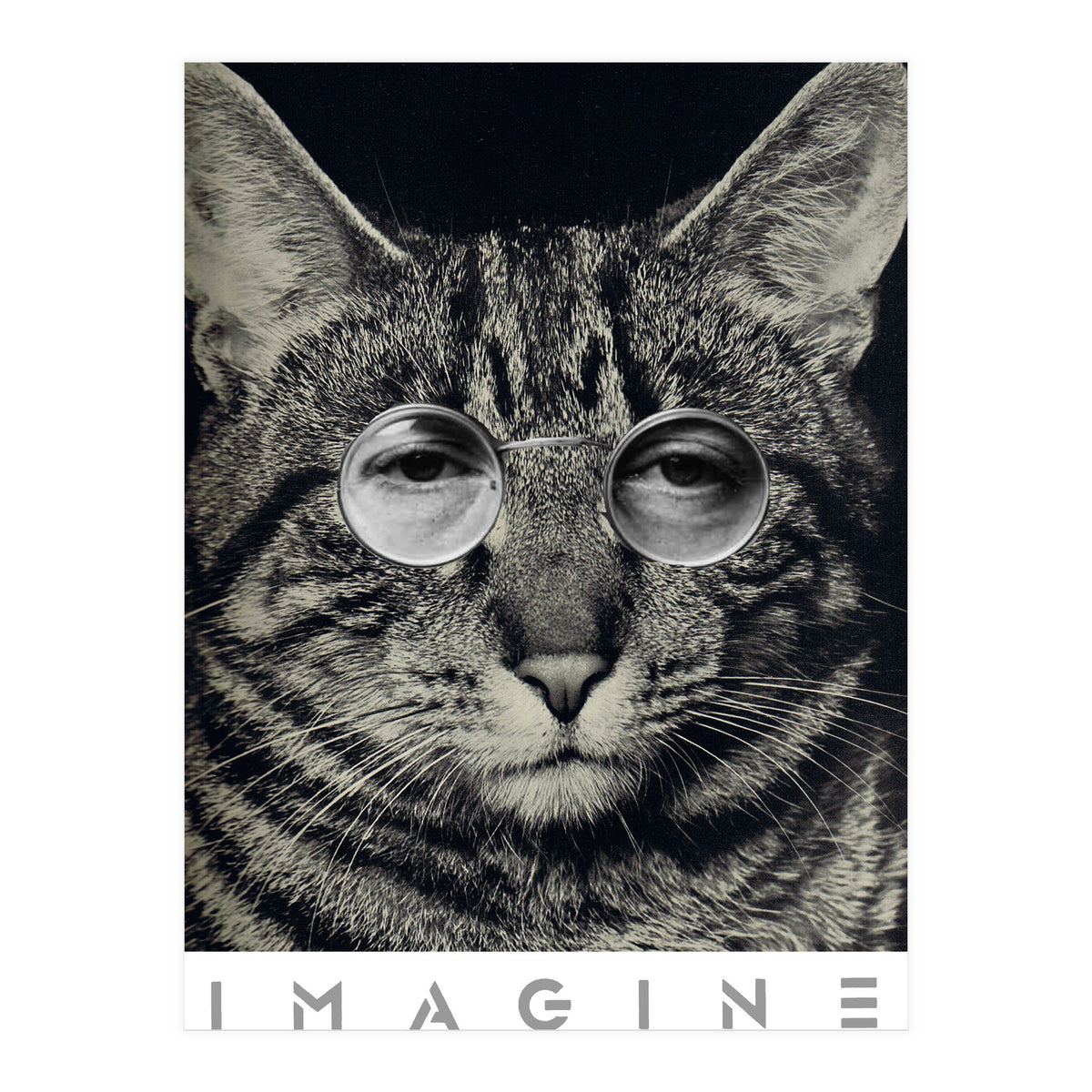 Imagine (Print Only)