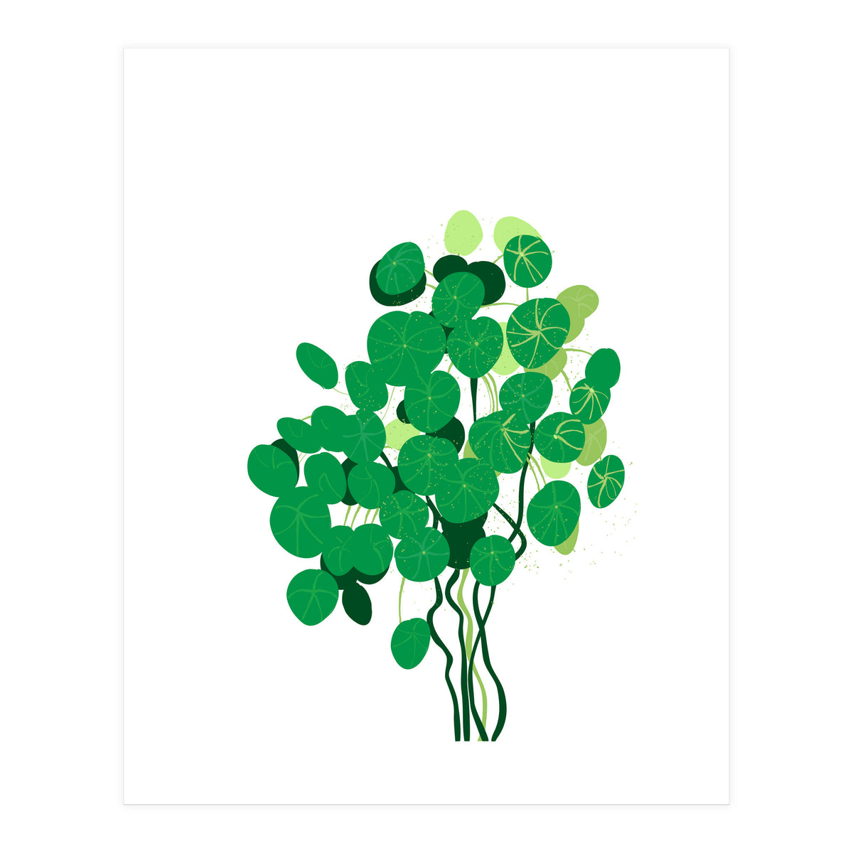 Pilea (Print Only)
