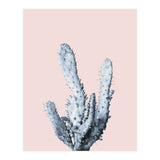 Cactus collection BL-I (Print Only) thumbnail