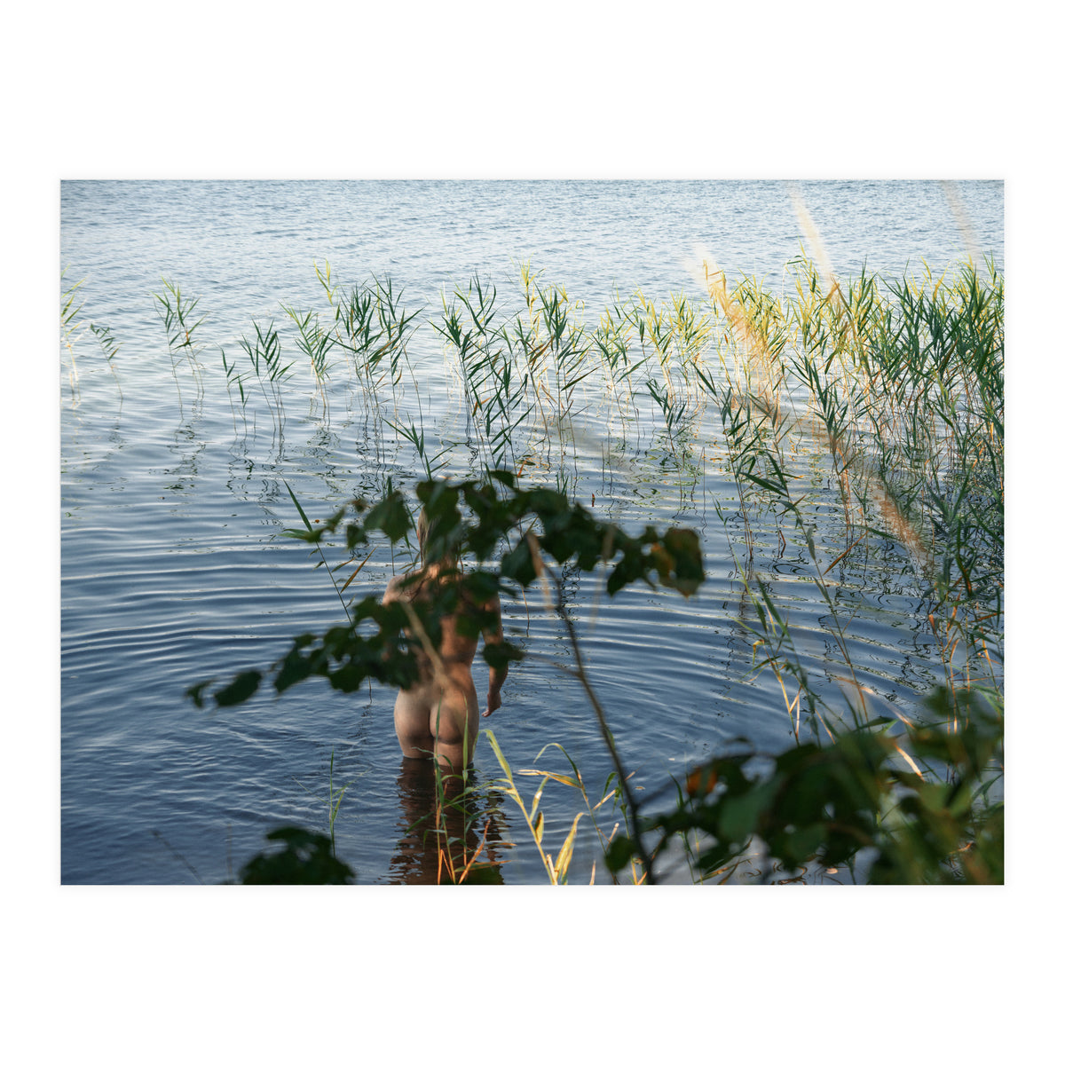 One, Two, Three (Print Only)