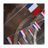 french flags (Print Only) thumbnail