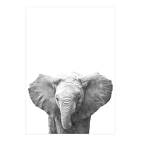 Black and White Baby Elephant  (Print Only)