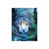 Galaxy Swim (Print Only) thumbnail