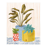 Little Garden Ii (Print Only) thumbnail