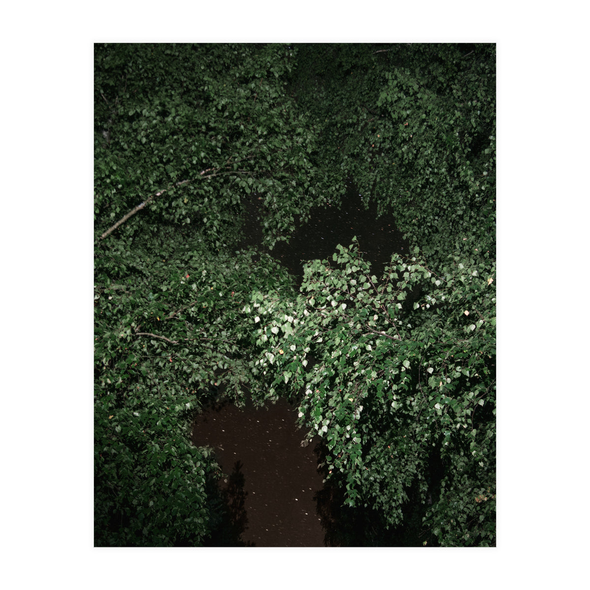 Greenscape (Print Only)