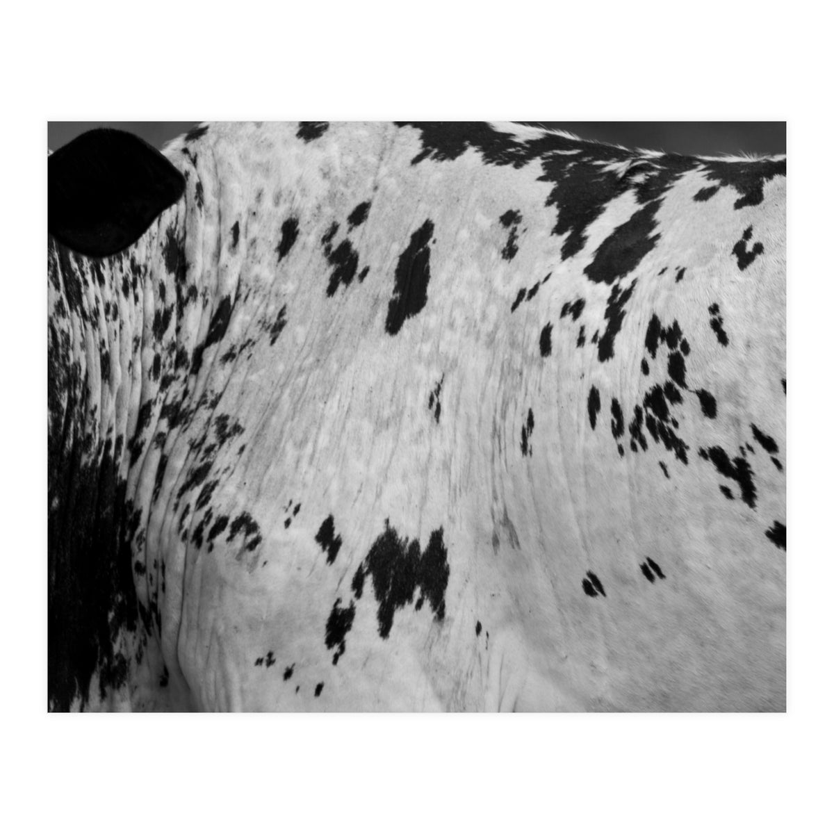 Abstract #3 (Print Only)