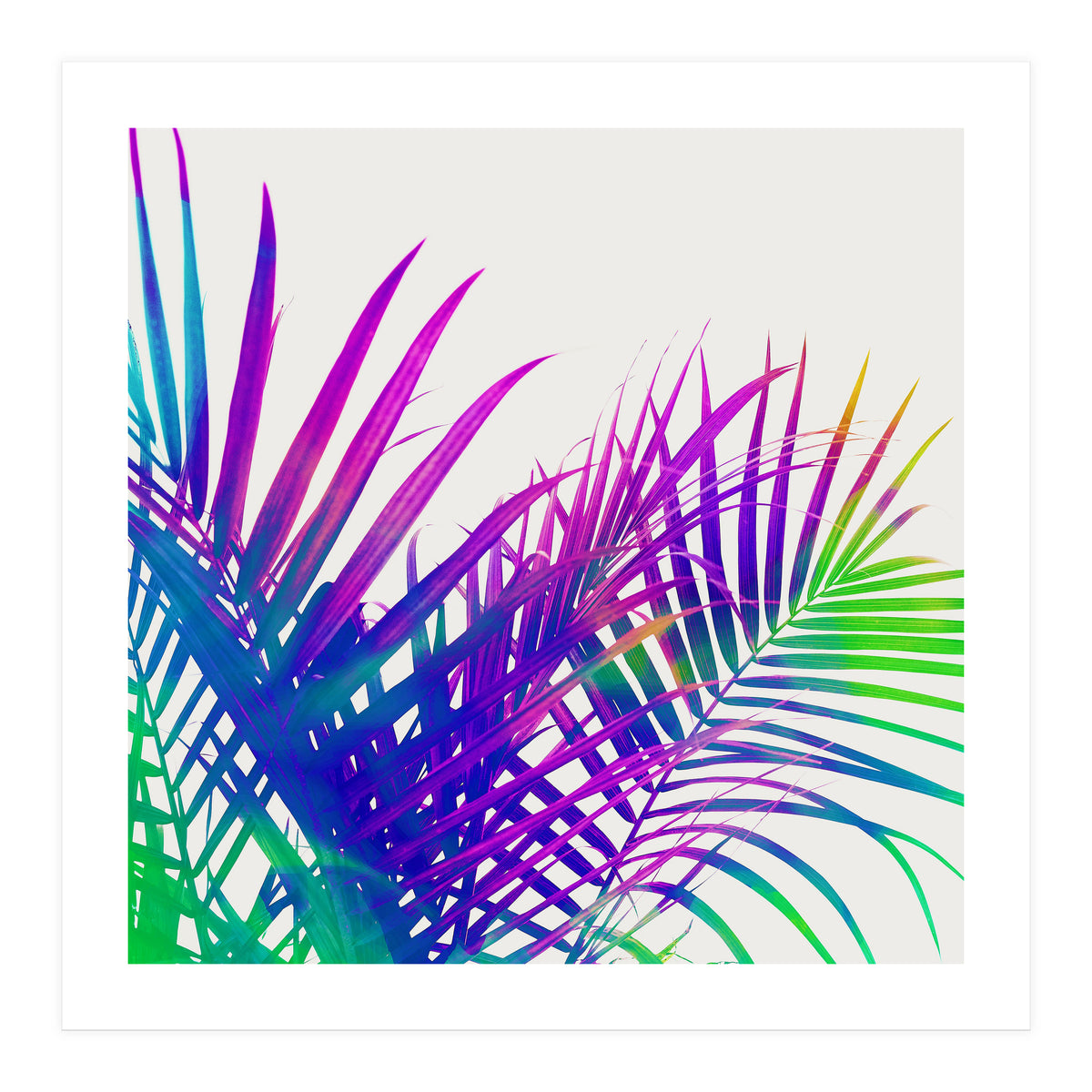 Colorful Palm (Print Only)