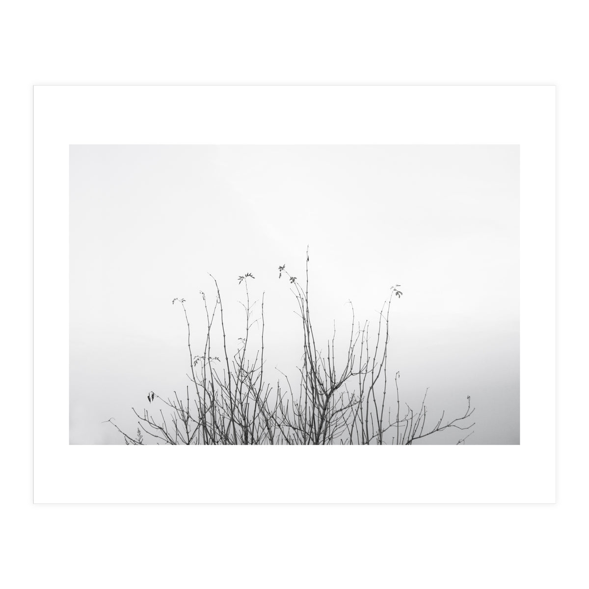 possibly (Print Only)