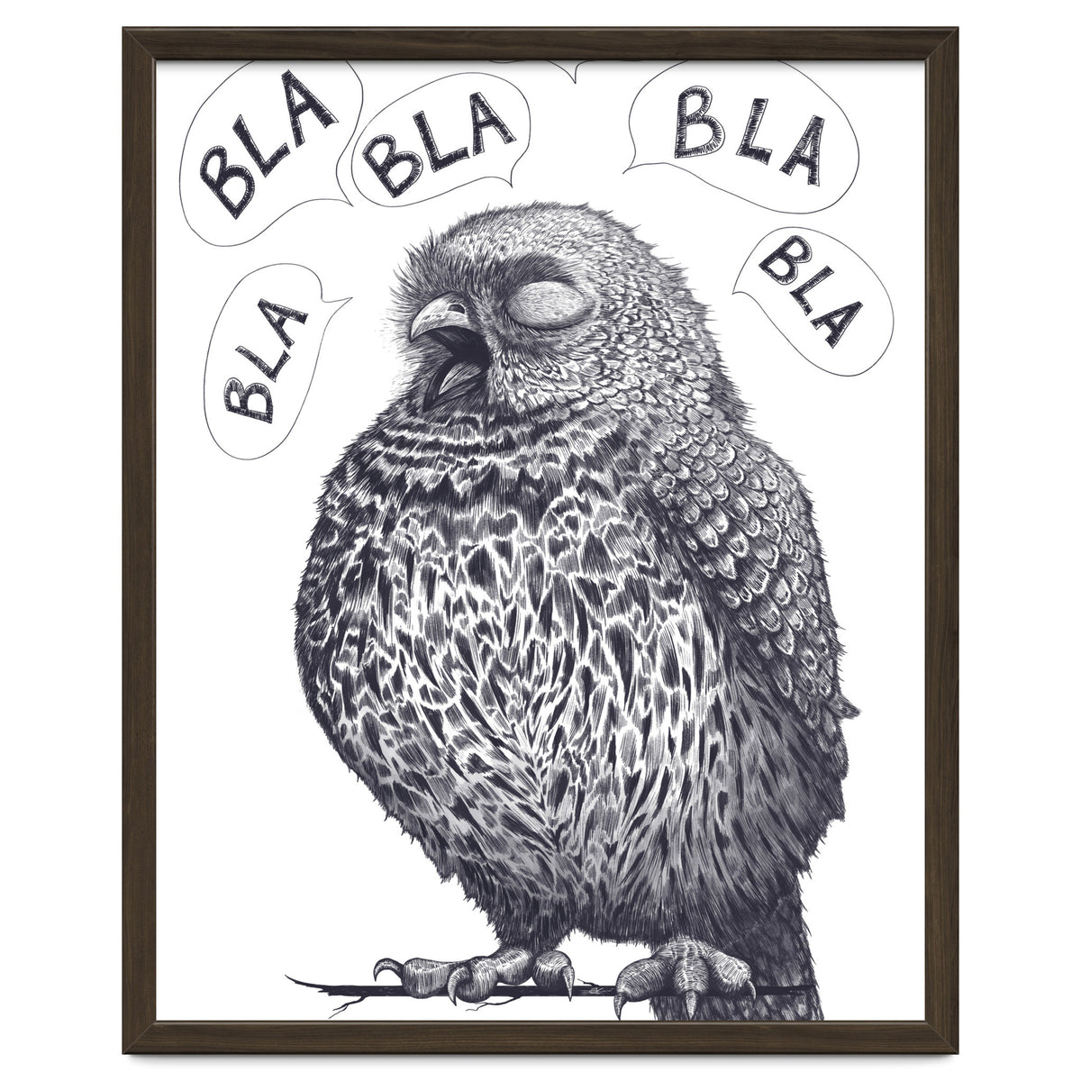 Owl Bla Bla Bla