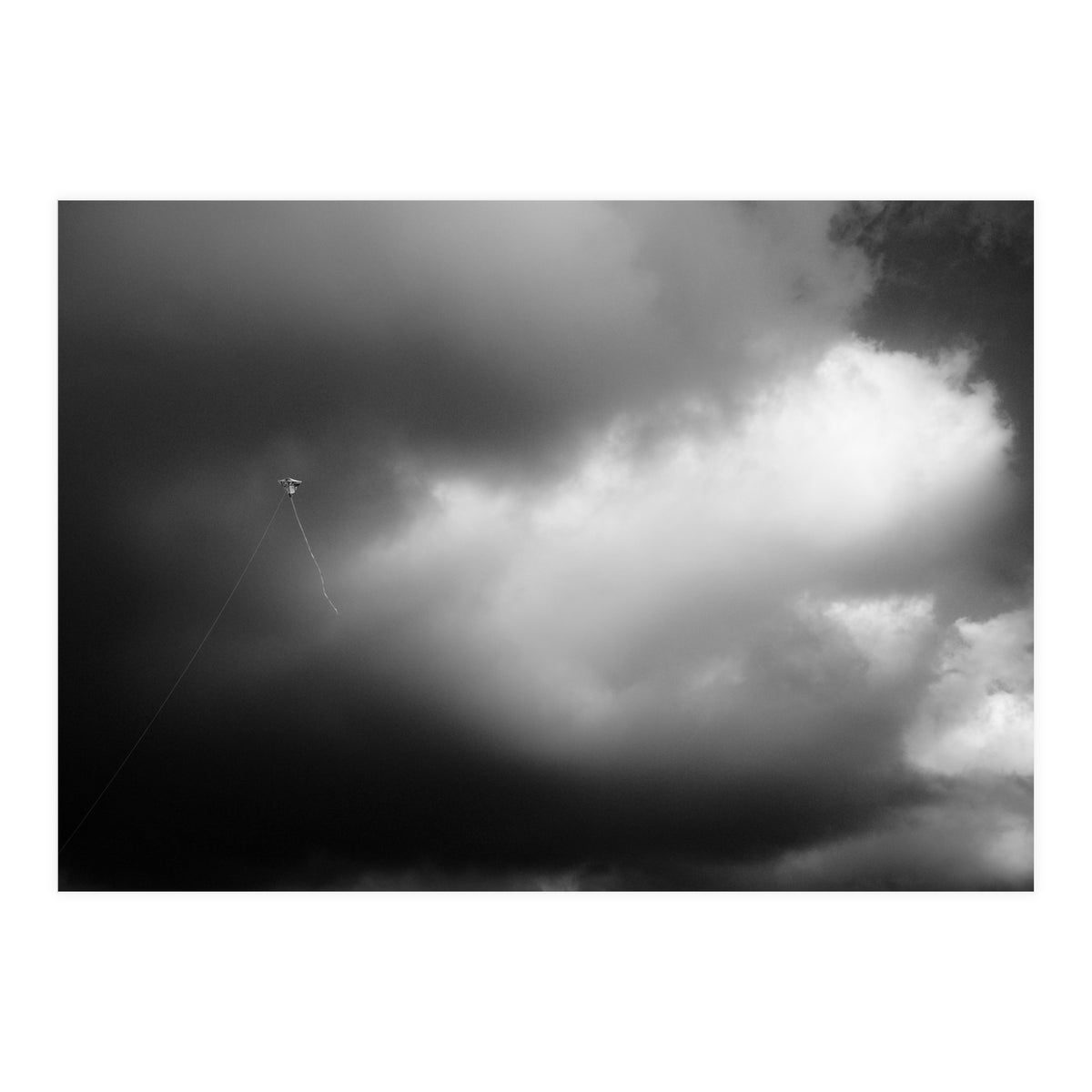 The Kite (Print Only)