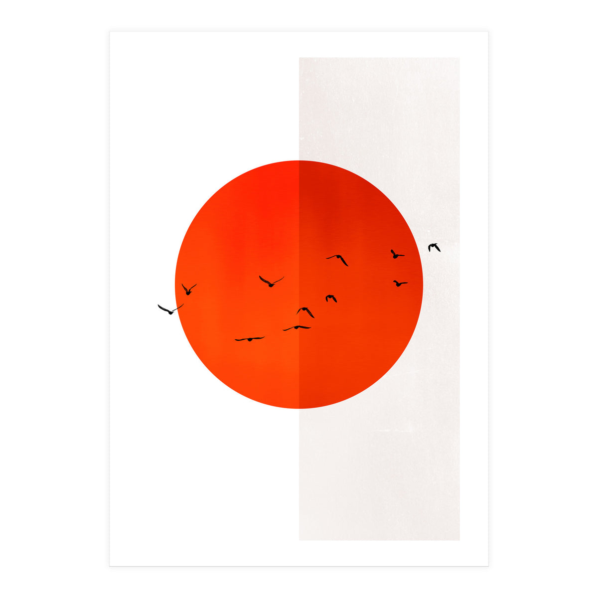 Seagulls Of The Sun (Print Only)