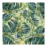 Classic Palm (Print Only) thumbnail