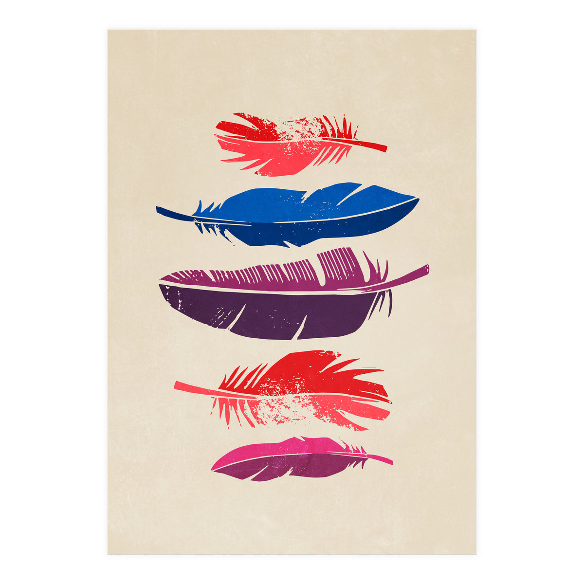 Feathers (Print Only)