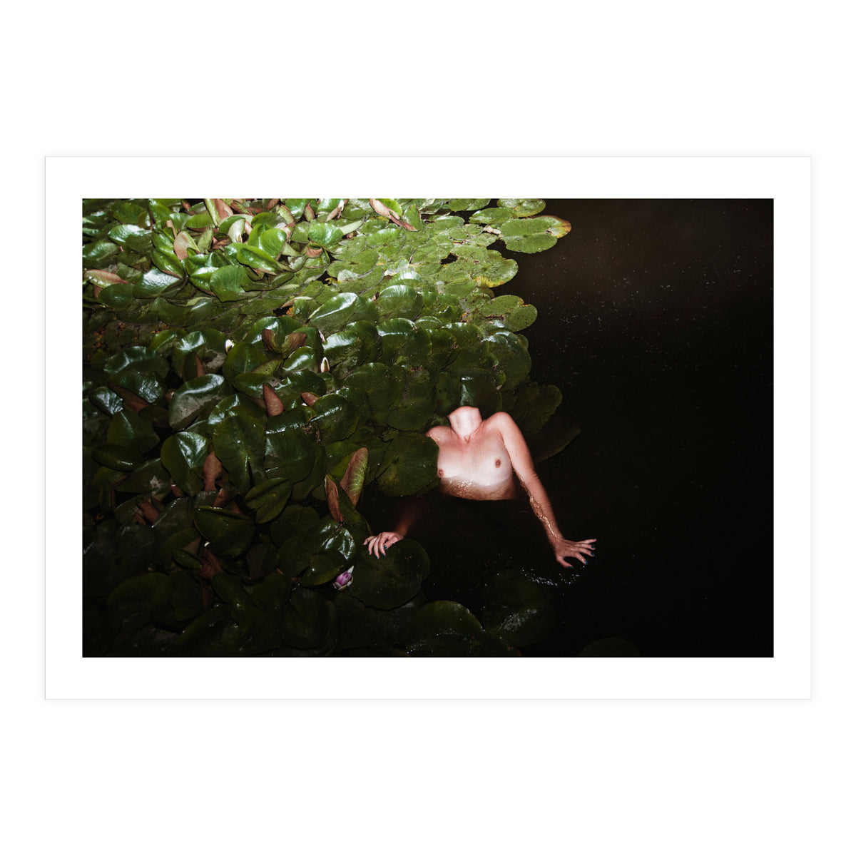 This is Not what You think it Is (Print Only)