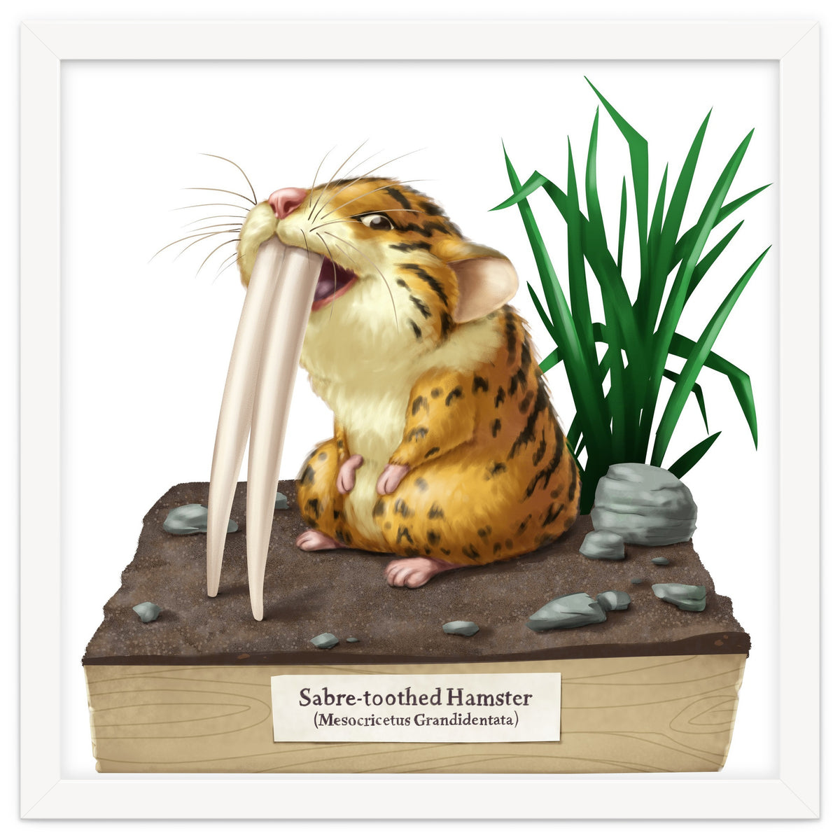 Saber-toothed Hamster