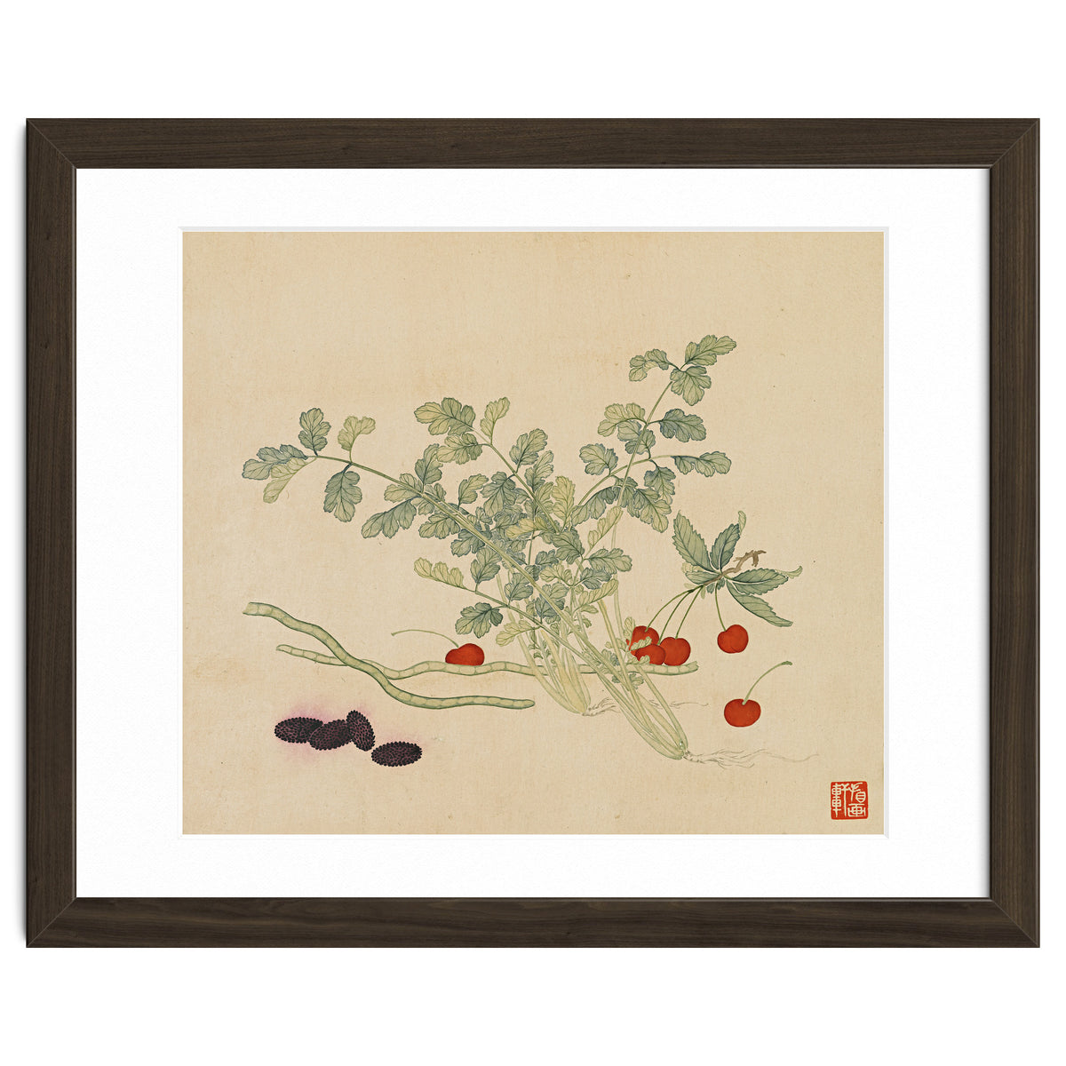 Wang Chengyu~flowers And Vegetables, Vegetables, Fruits, Beans, Red Beans, Cherries, Celery